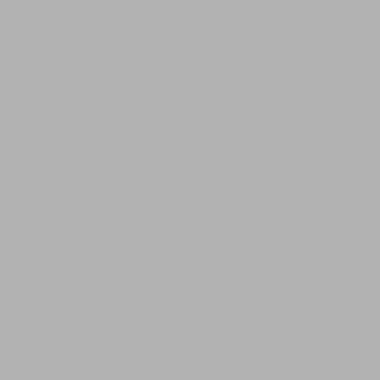Siser Easyweed PS tekstilvinyl - 250mm x 300mm - Bilde 3