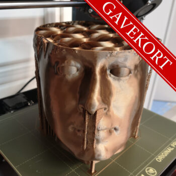 Gavekort: Nybegynnerkurs i 3D-printing - Bilde 3