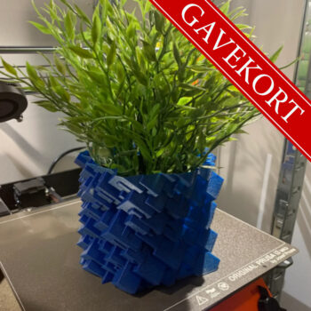 Gavekort: Nybegynnerkurs i 3D-printing - Bilde 4