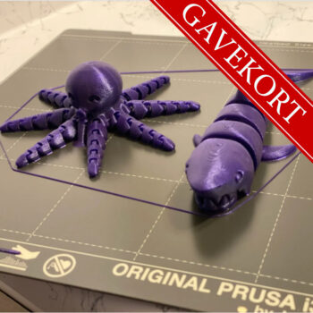 Gavekort: Nybegynnerkurs i 3D-printing - Bilde 2